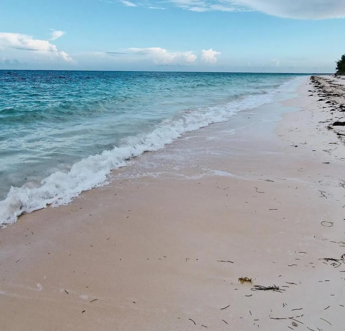 Appartamento New Stunning Beachfront Condo At The Coral Beach Freeport