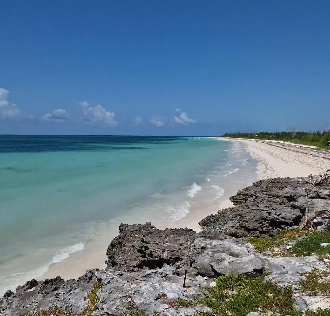 New Stunning Beachfront Condo At The Coral Beach Freeport