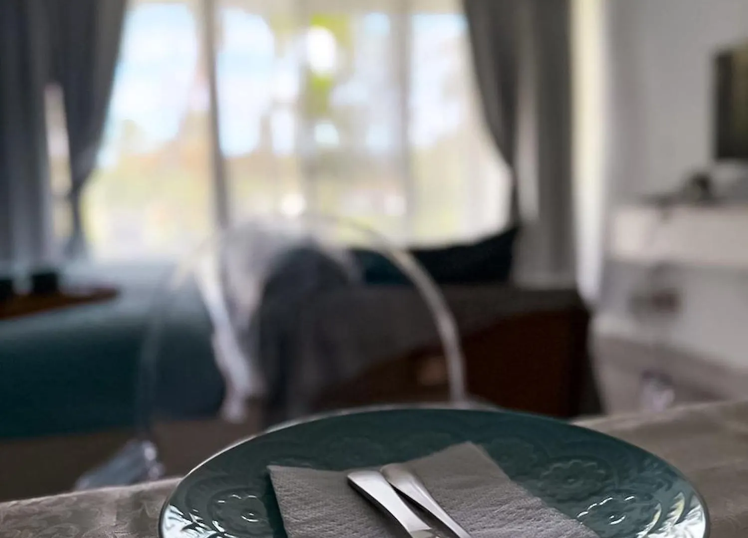 New Stunning Beachfront Condo At The Coral Beach Freeport Bahamas