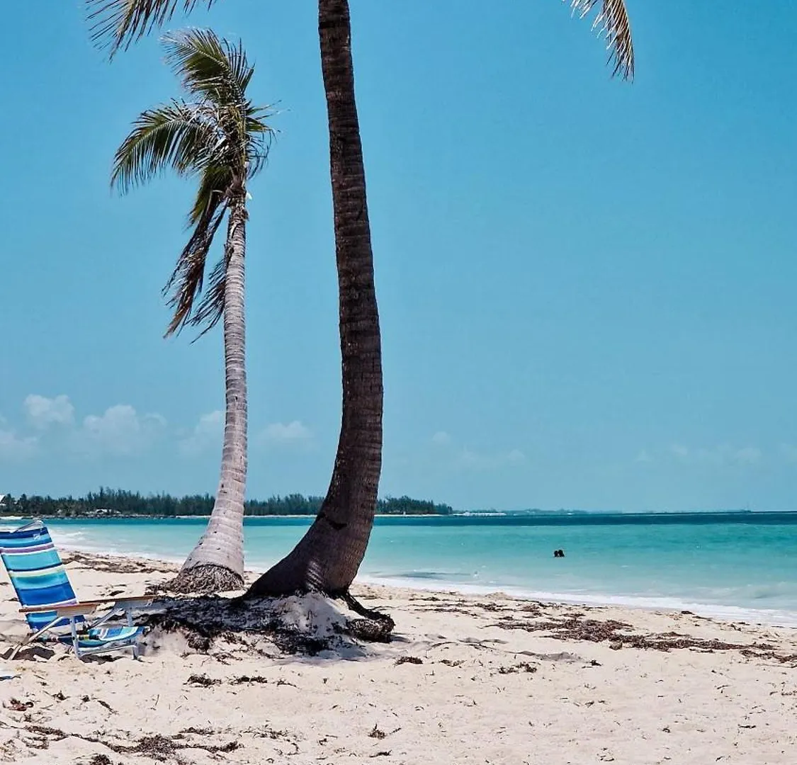 New Stunning Beachfront Condo At The Coral Beach فريبورت 0*,