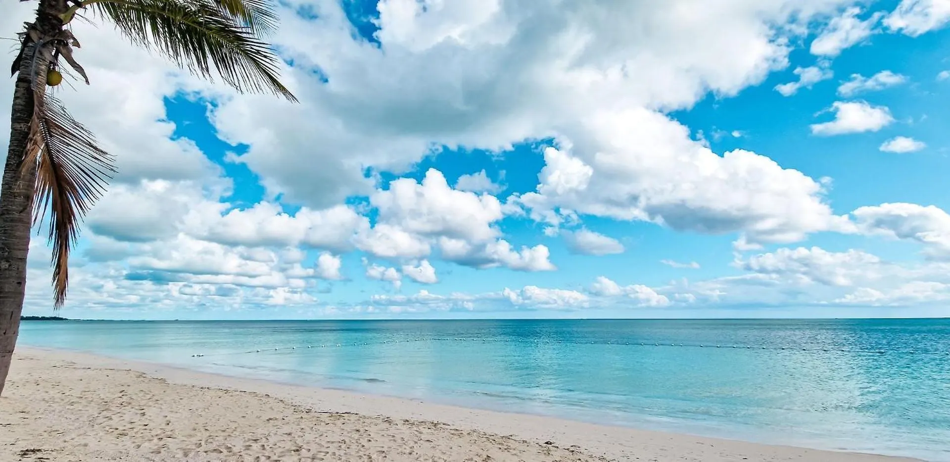 New Stunning Beachfront Condo At The Coral Beach فريبورت