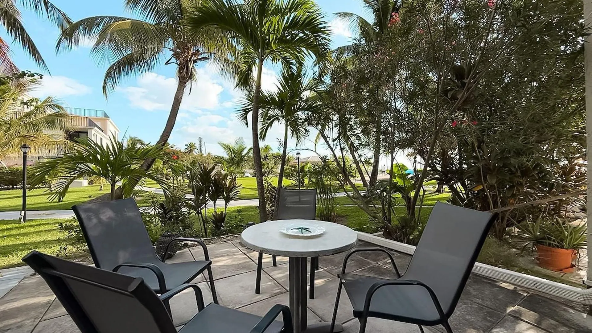 New Stunning Beachfront Condo At The Coral Beach فريبورت